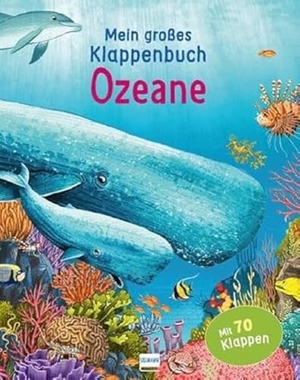 Ganeri, Anita. Mein großes Klappenbuch - Ozeane - mit 70 Klappen und spannenden Sachinformationen. Ullmann Medien GmbH, 2021.