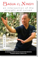 Bagua and Xingyi