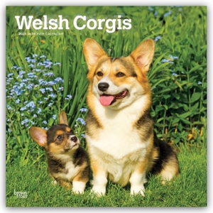 Publishers, Browntrout. Welsh Corgis - Welsh Corgi 2027 - 16-Monatskalender - Original BrownTrout-Kalender [Mehrsprachig] [Kalender]. Browntrout Verlags GmbH, 2026.