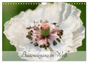 Blüteneleganz in Weiß (Wandkalender 2024 DIN A4 quer), CALVENDO Monatskalender