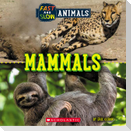 Mammals (Wild World: Fast and Slow Animals)