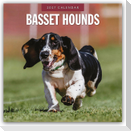 Basset Hounds - Basset Hound 2027 - 16-Monatskalender
