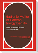 Hadronic Matter at Extreme Energy Density