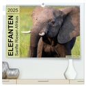 Elefanten - Sanfte Riesen Afrikas (hochwertiger Premium Wandkalender 2025 DIN A2 quer), Kunstdruck in Hochglanz