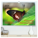 Fliegende Wunderwesen. Schmetterlinge weltweit, ganz nah (hochwertiger Premium Wandkalender 2024 DIN A2 quer), Kunstdruck in Hochglanz