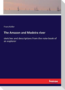 The Amazon and Madeira river