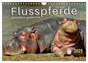 Flusspferde - gemütlich gefährlich (Wandkalender 2025 DIN A4 quer), CALVENDO Monatskalender