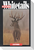 Hunting Trophy Whitetails
