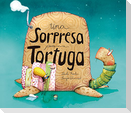 Una Sorpresa Para Tortuga