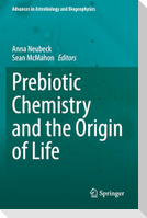 Prebiotic Chemistry and the Origin of Life