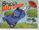 Bruce's Big Storm