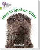 How to Spot an Otter