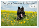 Der graue Deutsche Schäferhund (Tischkalender 2025 DIN A5 quer), CALVENDO Monatskalender
