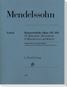 Konzertstücke op. 113 und 114 für Klarinette, Basetthorn (2 Klarinetten) und Klavier
