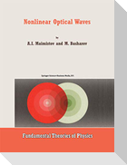 Nonlinear Optical Waves