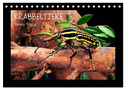 Krabbeltiere (Tischkalender 2024 DIN A5 quer), CALVENDO Monatskalender