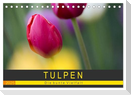 Tulpen - die bunte Vielfalt (Tischkalender 2025 DIN A5 quer), CALVENDO Monatskalender