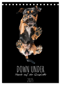 Down Under - Hunde auf der Glasplatte (Tischkalender 2025 DIN A5 hoch), CALVENDO Monatskalender