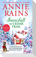 Snowfall on Cedar Trail