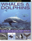 Exploring Nature: Whales & Dolphins: Dive into the Watery World of Whales, Dolphins, Narwhals and Rorquals, All Shown in 190 Spectacular Images