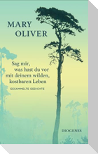 Sag mir, was hast du vor mit deinem wilden, kostbaren Leben