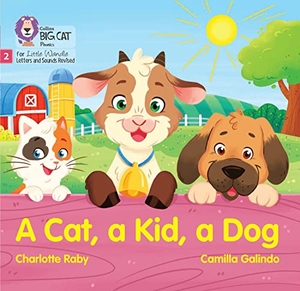 Raby, Charlotte. A Cat, a Kid and a Dog - Phase 2 Set 3 Blending Practice. HarperCollins Publishers, 2022.