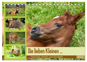 Die lieben Kleinen ... Tierkinder einfach zum Knuddeln (Tischkalender 2024 DIN A5 quer), CALVENDO Monatskalender