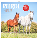 Pferde 2027