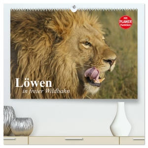 Stanzer, Elisabeth. Löwen in freier Wildbahn (hochwertiger Premium Wandkalender 2025 DIN A2 quer), Kunstdruck in Hochglanz - Löwen in ihrem natürlichen Lebensraum. Calvendo, 2024.