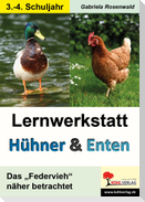 Lernwerkstatt Hühner & Enten / Grundschule
