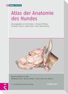 Atlas der Anatomie des Hundes