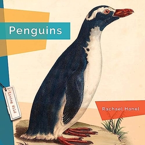 Hanel, Rachael. Penguins. Creative Company, 2023.