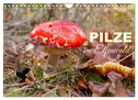 Pilze im Elfenwald (Wandkalender 2024 DIN A4 quer), CALVENDO Monatskalender