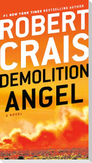 Demolition Angel