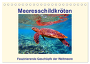 Meeresschildkröten ¿ Faszinierende Geschöpfe der Weltmeere (Tischkalender 2024 DIN A5 quer), CALVENDO Monatskalender