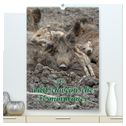 Der wildschweinische Terminplaner (hochwertiger Premium Wandkalender 2024 DIN A2 hoch), Kunstdruck in Hochglanz
