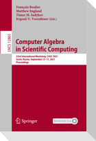 Computer Algebra  in Scientific Computing