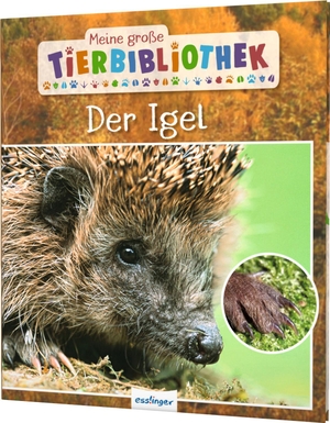 Tracqui, Valérie. Meine große Tierbibliothek: Der Igel - Sachbuch für Vorschule & Grundschule. Esslinger Verlag, 2019.