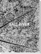 Salt River