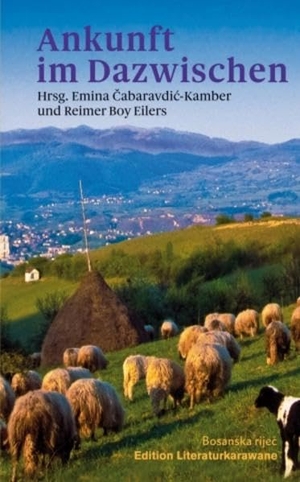 Boy Eilers, Reimer. Ankunft im Dazwischen. Verlag Expeditionen, 2021.