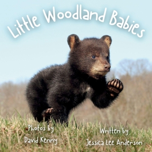 Anderson, Jessica Lee. Little Woodland Babies. AO Press, 2026.
