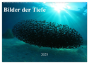 Bilder der Tiefe 2025 (Wandkalender 2025 DIN A2 quer), CALVENDO Monatskalender
