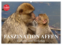 Faszination Affen. Kobolde zum Verlieben (Wandkalender 2024 DIN A2 quer), CALVENDO Monatskalender