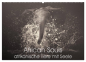 African Souls - afrikanische Tiere mit Seele (Wandkalender 2024 DIN A2 quer), CALVENDO Monatskalender