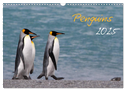 Penguins 2025 (Wall Calendar 2025 DIN A3 landscape), CALVENDO 12 Month Wall Calendar