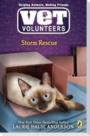 Storm Rescue