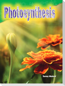 Photosynthesis