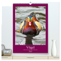 Vögel - Große, kleine, bunte (hochwertiger Premium Wandkalender 2025 DIN A2 hoch), Kunstdruck in Hochglanz