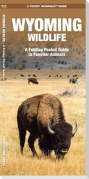 Wyoming Wildlife