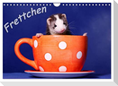 Frettchen - Ferrets (Wandkalender 2024 DIN A4 quer), CALVENDO Monatskalender